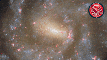 Flower Spinning GIF by ESA/Hubble Space Telescope